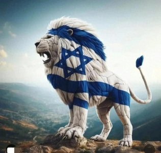 ​以色列国旗的由来——六角国旗