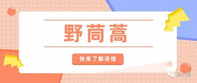 ​这种常见的野草叫野茼蒿~