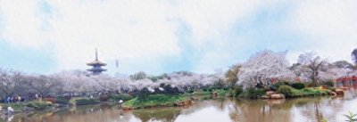 ​武汉樱花季：一场文化与旅游的盛宴