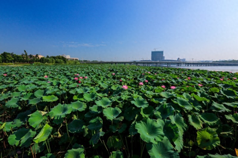 扬州京华城，京彩欢乐世界，中国第一座全生活产业城