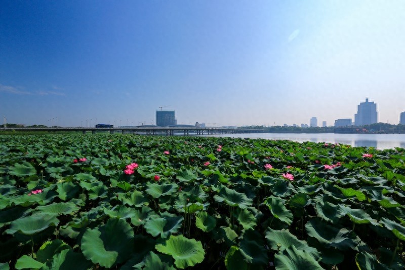 扬州京华城，京彩欢乐世界，中国第一座全生活产业城