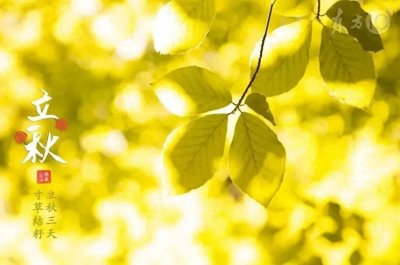 ​超漂亮！送你一组绝美立秋图，收藏了用来做壁纸不要太好看