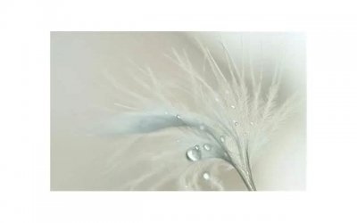 ​女生发mua代表什么意思