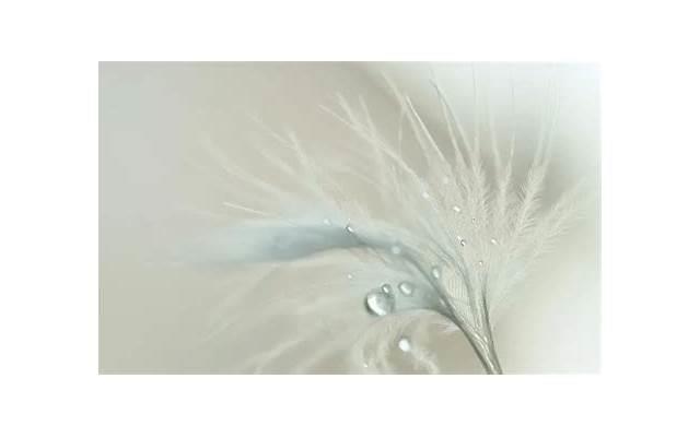 女生发mua代表什么意思