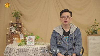 ​月下美人是什么花绿色仙子是什么花 月下美人是什么花