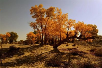 ​「旅徒走新疆」218国道｜尉犁——若羌