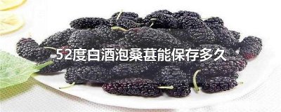 ​52度白酒泡桑葚能保存多久