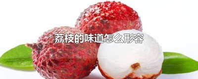 ​荔枝的味道怎么写句子 怎样描写荔枝的味道