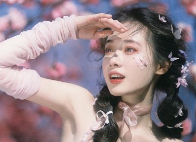 ​乒乓菊的寓意和花语是什么？