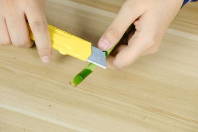 ​富贵竹视频：富贵竹夏季防叶黄烂根秘籍