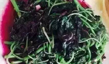 长寿菜怎么吃 长寿菜的营养