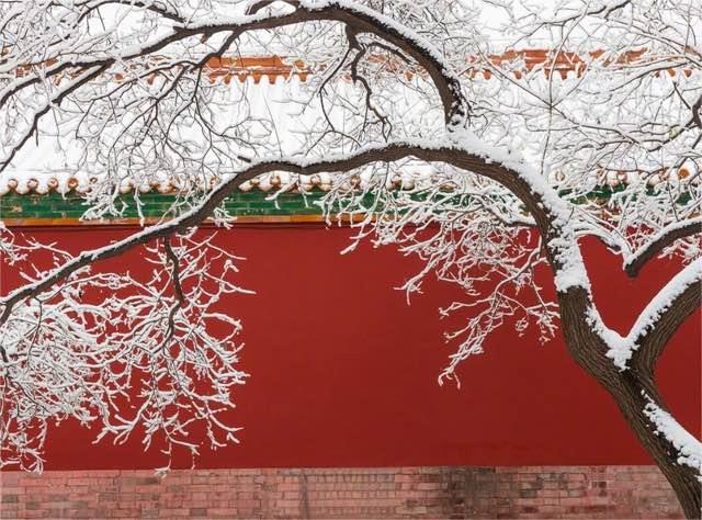 历史故宫为何要在5点关门？每年用60吨猪血镇邪？背后的真相是什么  6