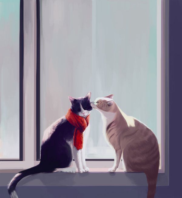 女孩子最想要什么,在感情里女生最需要的是什么图10