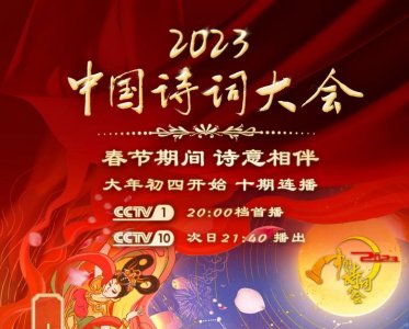 ​《中国诗词大会第八季》开播！曾斩获冠军的他们，如今竟活成这样