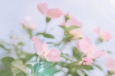 ​徐雷狂飙是意外吗？为什么徐雷会被电死