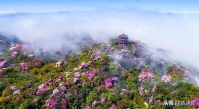 ​送别李叔同原文及翻译（《送别》表达了作者怎样的感情）