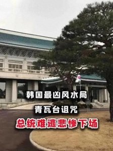 韩国“青瓦台魔咒”：历史与现实交织的复杂现象