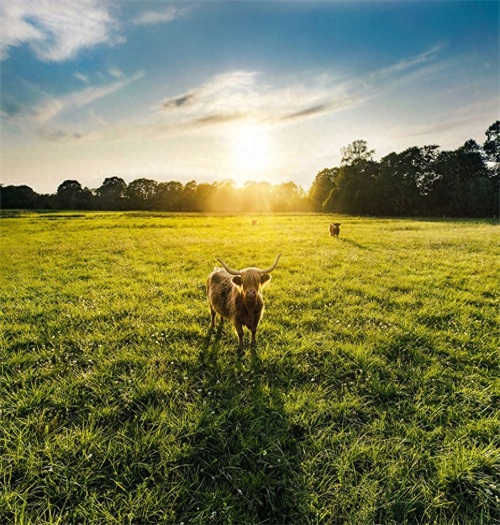 无人机摄影：从上帝视角鸟瞰地球，让你感受别样的壮美