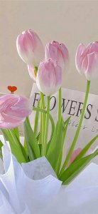 ​＂时尚炫酷，手机壁纸新鲜出炉！让你的屏幕闪耀个性光芒！＂