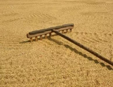 古代穷人一般吃什么？你可能想都想不到