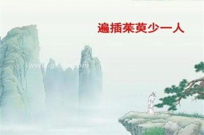 ​遍插茱萸少一人的遍是什么意思：到处的含义（怀念亲友）