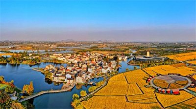 ​建设“光储柔直”微电网新样板，南京农村用科技解锁绿色未来