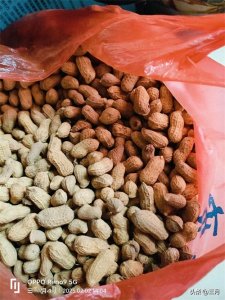 ​美味健康的自制花生糖