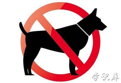 ​禁养犬已经养了怎么办