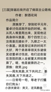 盘点七本口碑不错的穿越三国历史小说，看主角在乱世扶摇直上