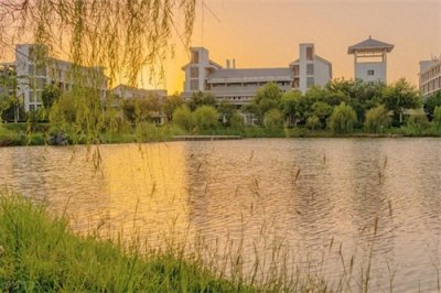 ​2025年上海高职院校排行榜：工艺美术领衔，城建与电子信息紧随