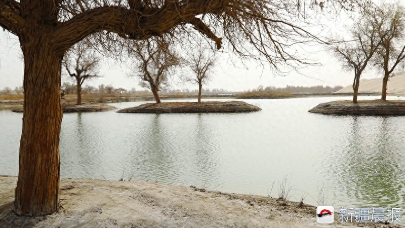 爱新疆游家乡，带你走进神秘罗布人村寨