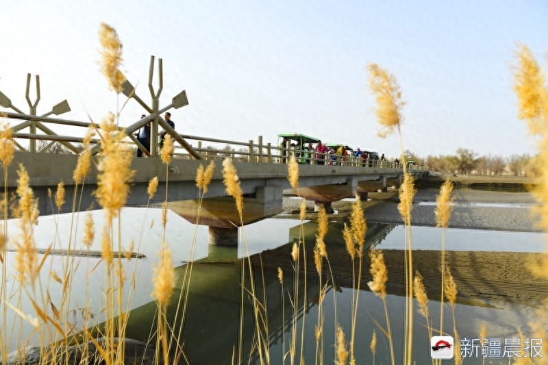 爱新疆游家乡，带你走进神秘罗布人村寨