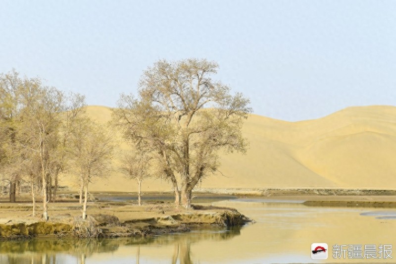 爱新疆游家乡，带你走进神秘罗布人村寨