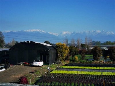 ​张达三，袍界三巨子高照林血溅凤凰山