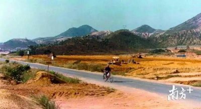 ​武汉沌口VS深圳蛇口，有很多相似之处