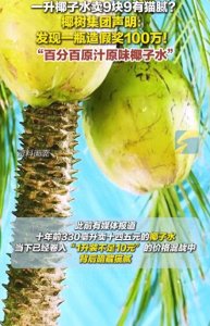 ​椰树集团官网发文称，椰树牌真百分百原汁原味椰子水，绝不用废料椰子水生产