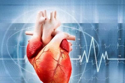 ​指南2029年人类永生 86%未来50年人类能永生吗