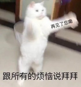 ​「聊天必备系列」可爱搞怪表情包和对象斗图永远不会输