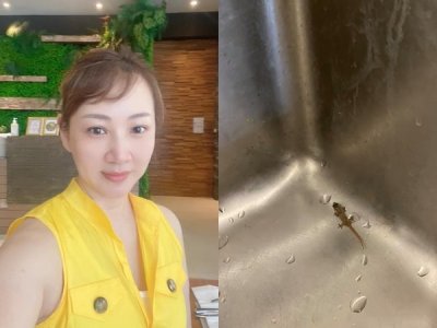 ​郁方家中惊见小小壁虎！求救「越来越大只」…网急劝：养起来