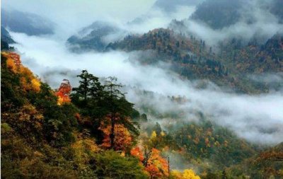 ​8月1日起瓦屋山景区恢复营业：每日限流3500人，需提前预定购票