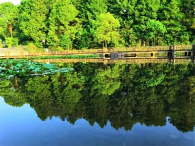 ​国家二级保护动物大鲵在宝山滨江“安家”