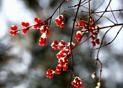 ​心甘情愿爱你！