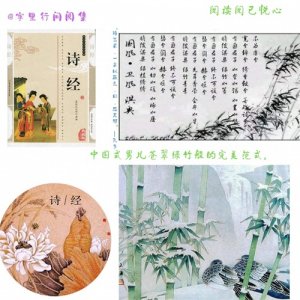 ​诗经·国风·卫风·淇奥