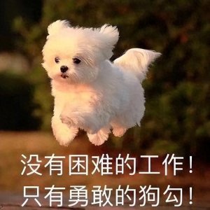 ​公认“最忠诚”的6种狗，给它一口吃的，就给你卖命