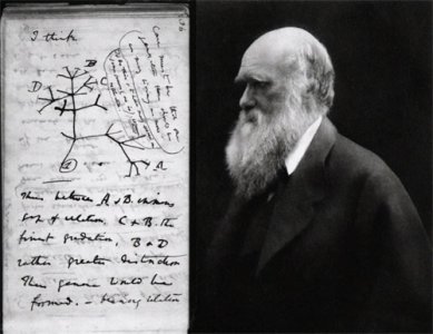 ​历史上的今天 |《物种起源》正式出版